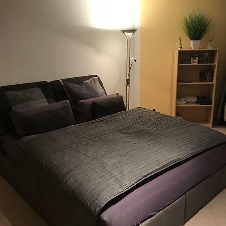 Kleine Wohnung Im Gruenen Dresden Luaran gambar