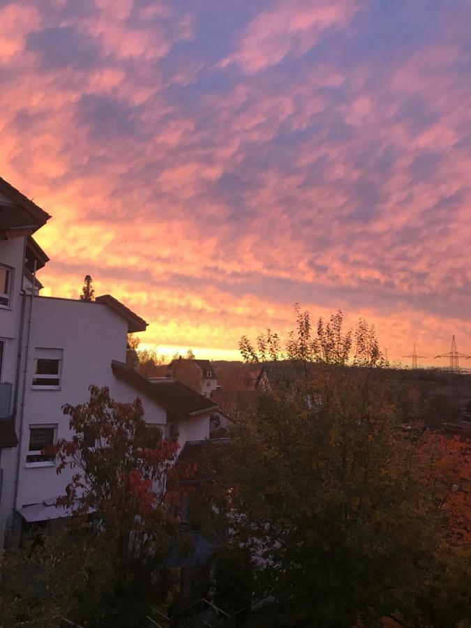 Kleine Wohnung Im Gruenen Dresden Luaran gambar